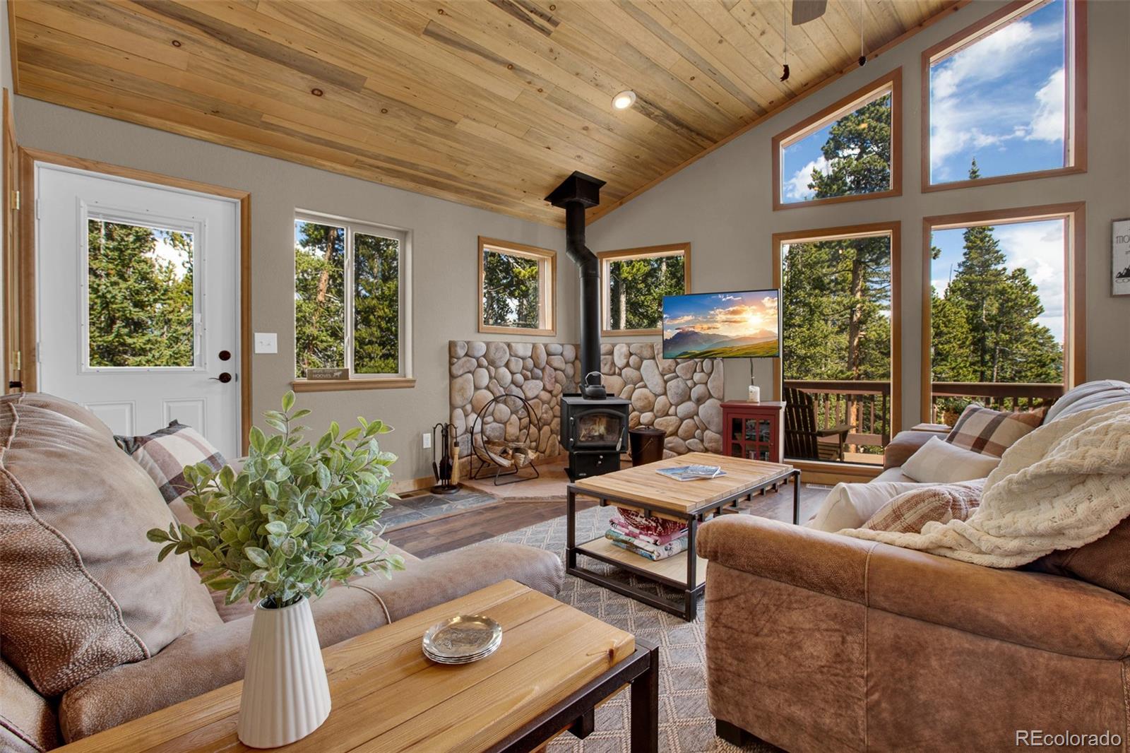 MLS Image #7 for 1647  bobcat lane,fairplay, Colorado