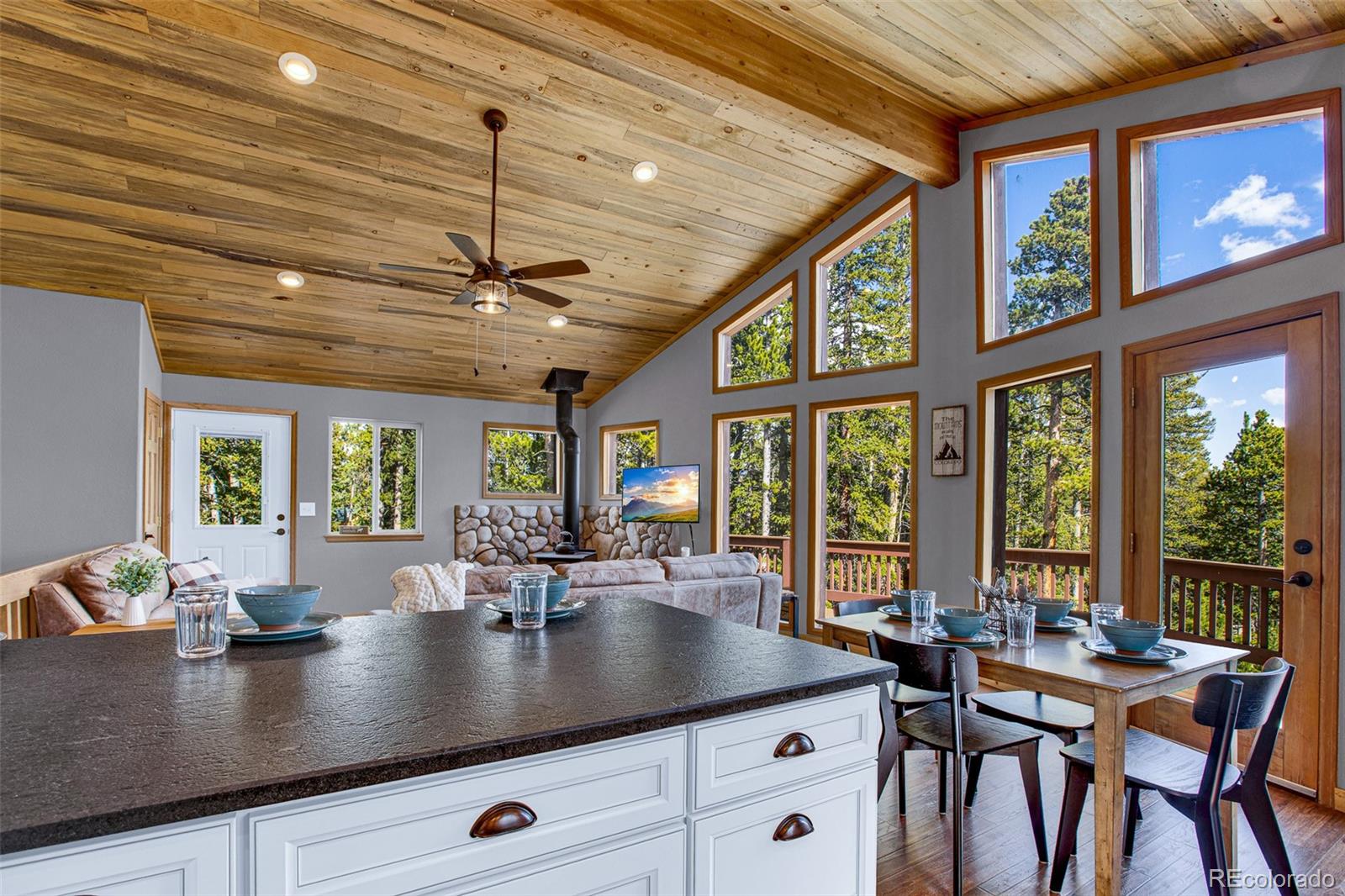 MLS Image #9 for 1647  bobcat lane,fairplay, Colorado
