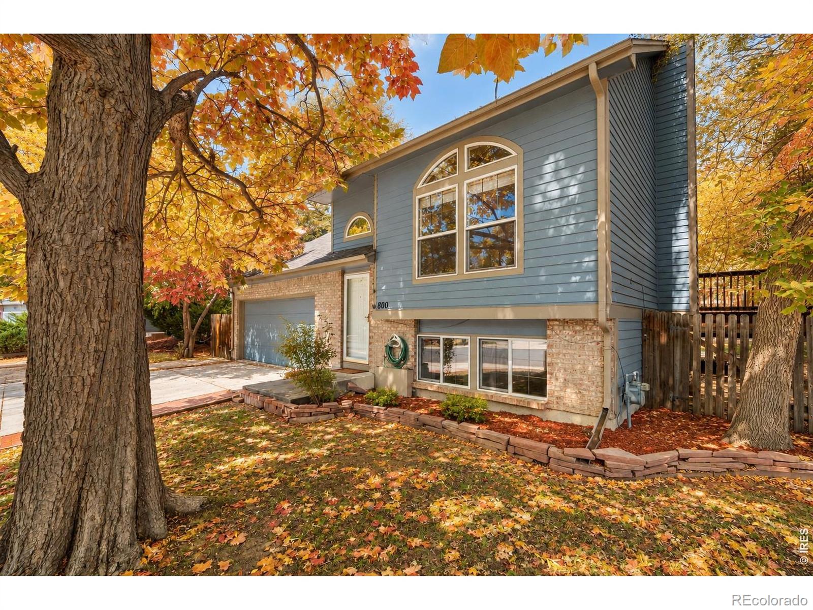 MLS Image #0 for 800  buchanan lane,longmont, Colorado