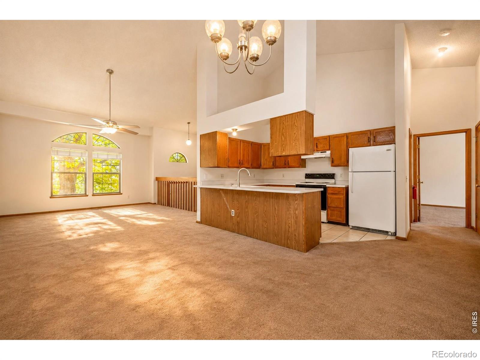 MLS Image #4 for 800  buchanan lane,longmont, Colorado