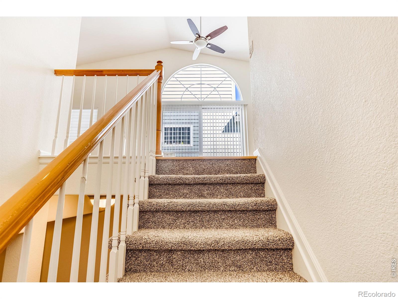 MLS Image #12 for 5115  pasadena way,broomfield, Colorado