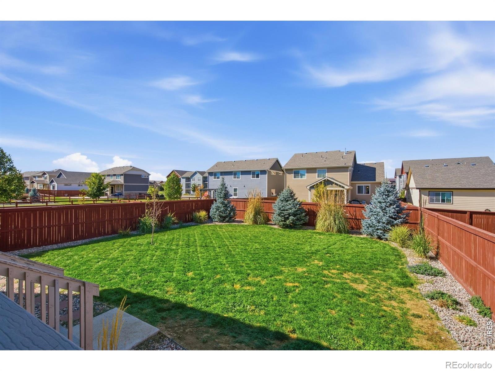 MLS Image #25 for 1838  golden horizon drive,windsor, Colorado