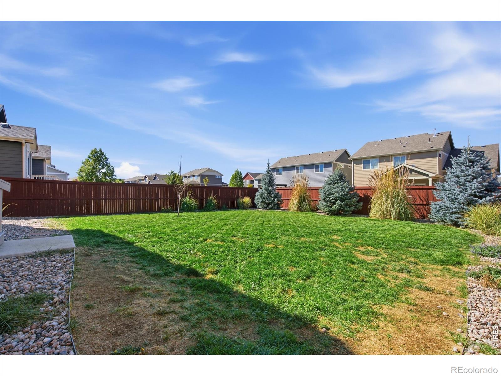 MLS Image #27 for 1838  golden horizon drive,windsor, Colorado