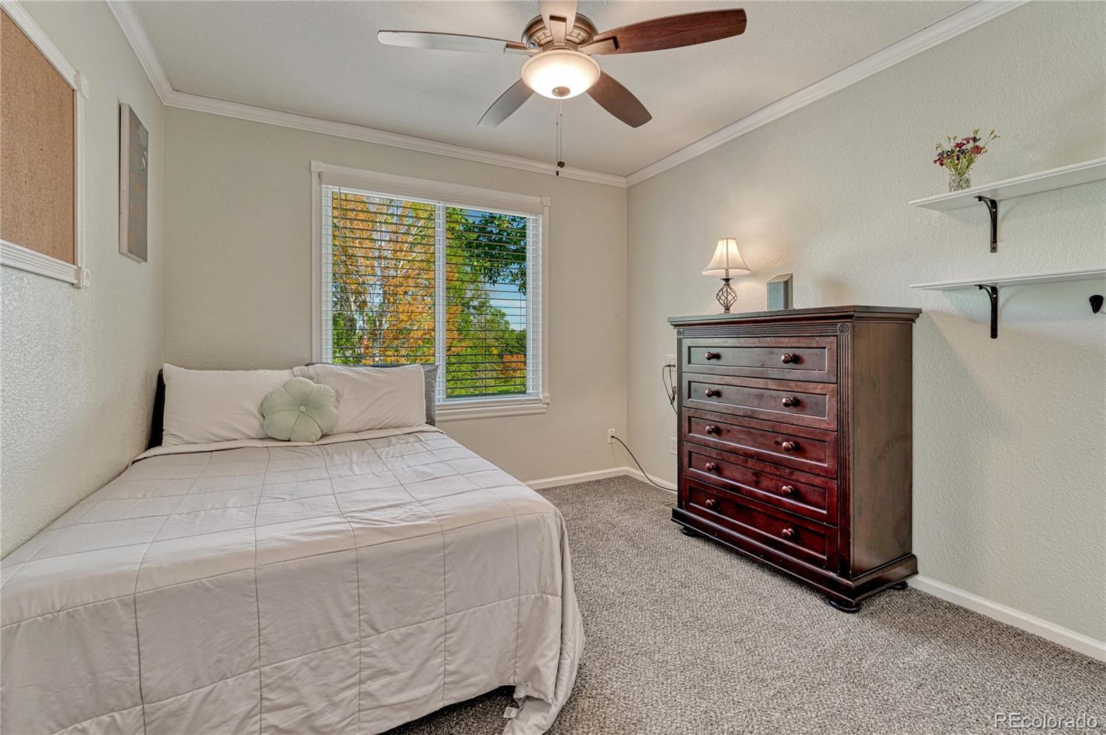 MLS Image #11 for 6637  millstone street,highlands ranch, Colorado