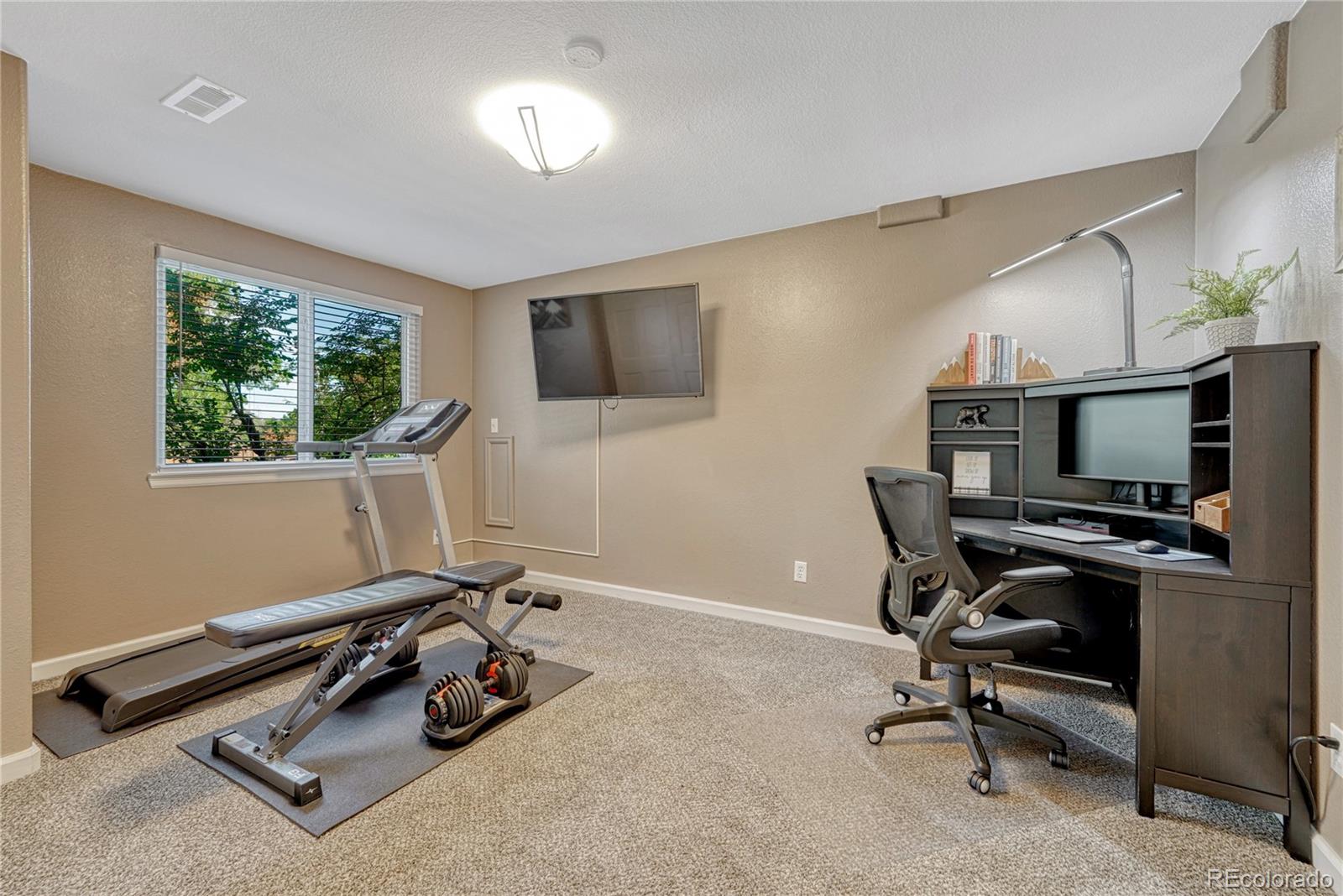 MLS Image #27 for 6637  millstone street,highlands ranch, Colorado