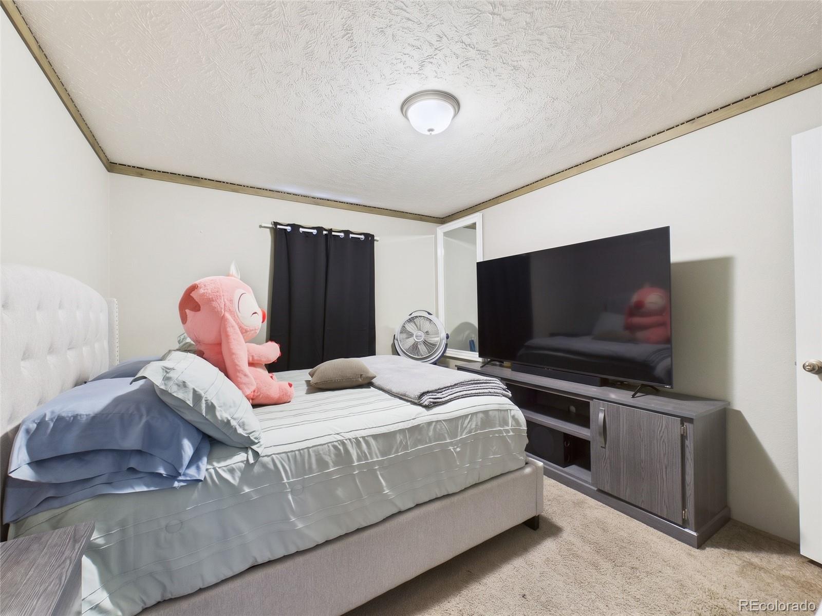 MLS Image #10 for 1000  macdavidson circle,dacono, Colorado