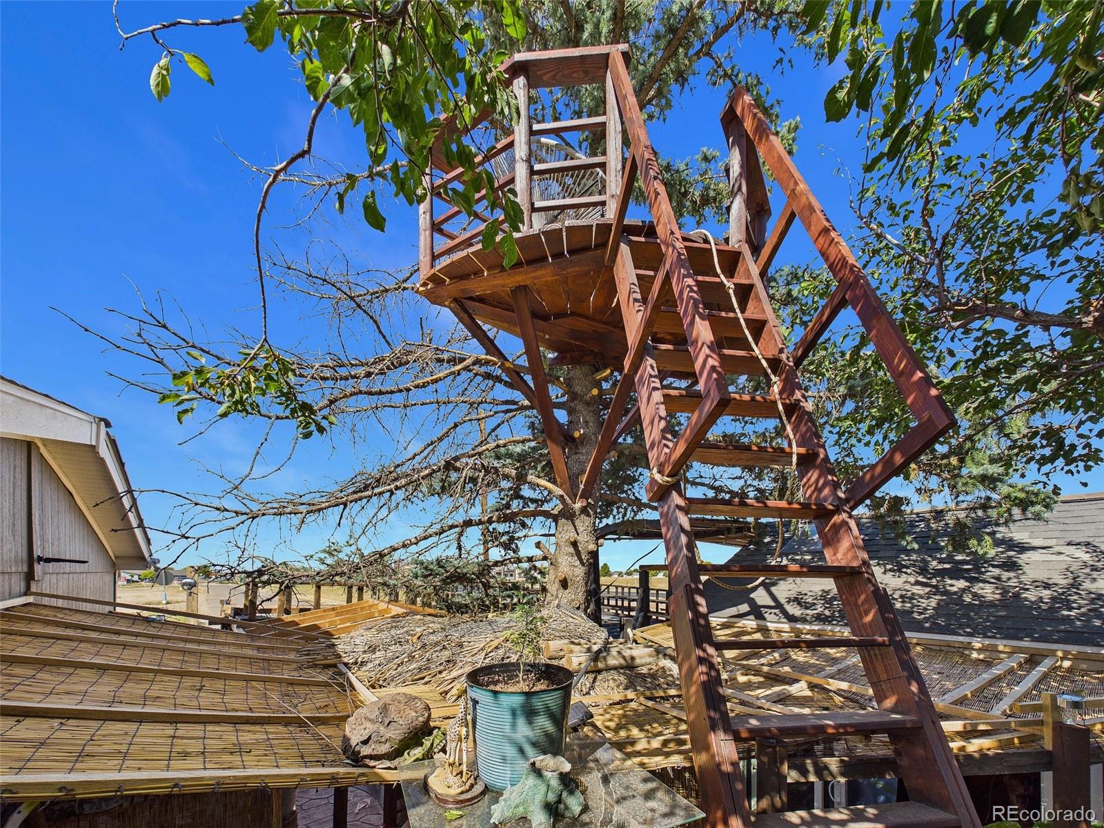 MLS Image #23 for 1000  macdavidson circle,dacono, Colorado