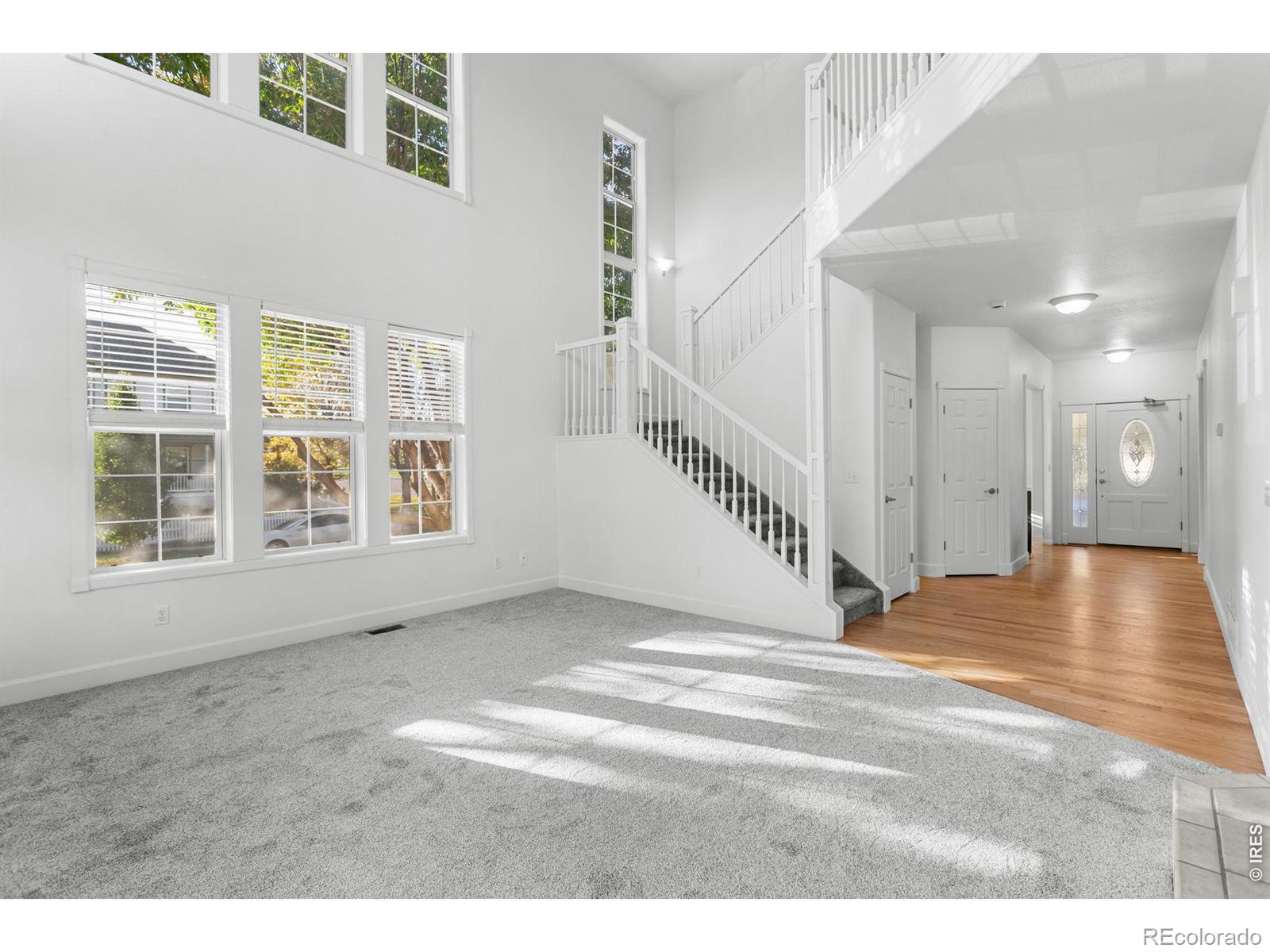 MLS Image #23 for 1443  grand avenue,windsor, Colorado