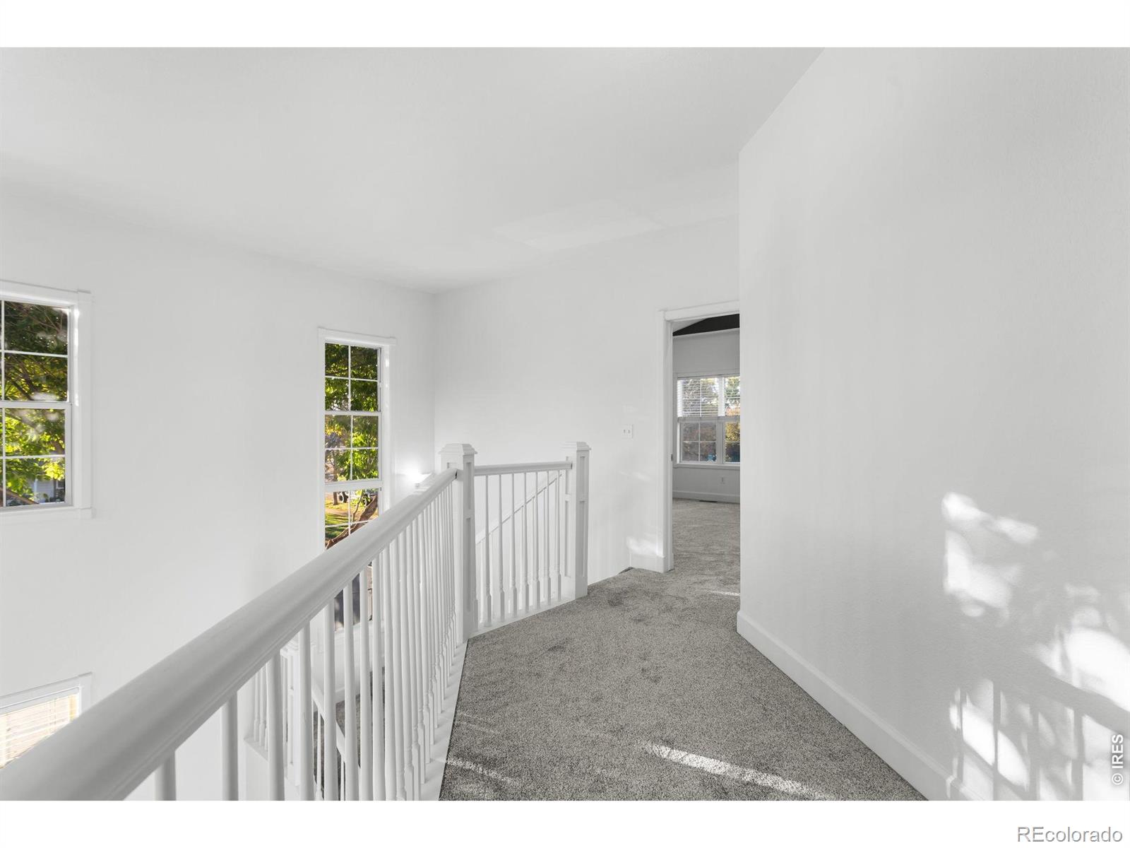 MLS Image #25 for 1443  grand avenue,windsor, Colorado