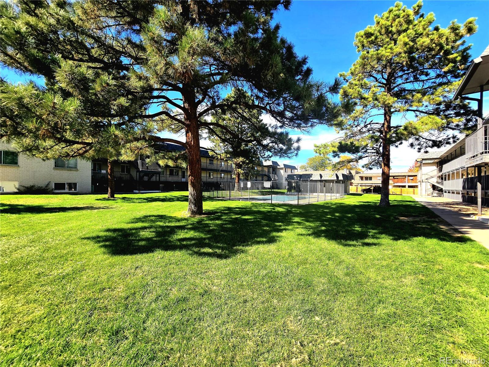 MLS Image #9 for 1723  robb street,lakewood, Colorado