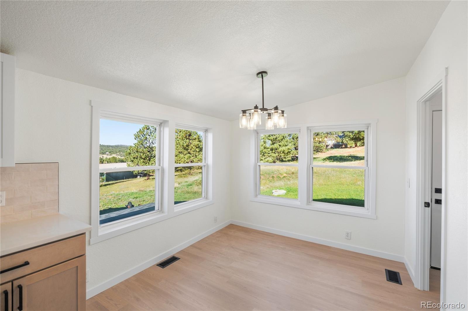 MLS Image #16 for 131  dillon lane,florissant, Colorado