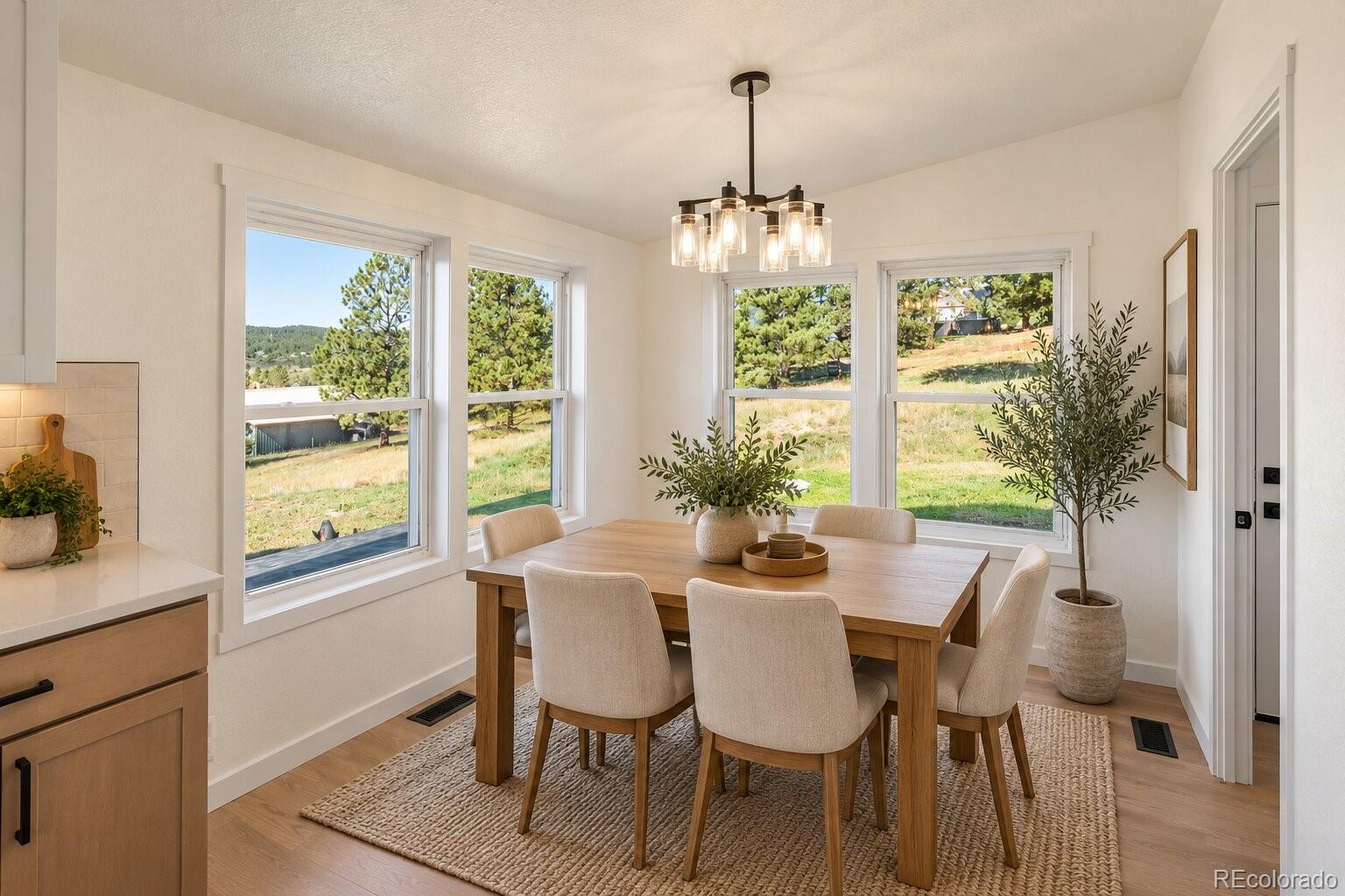 MLS Image #4 for 131  dillon lane,florissant, Colorado