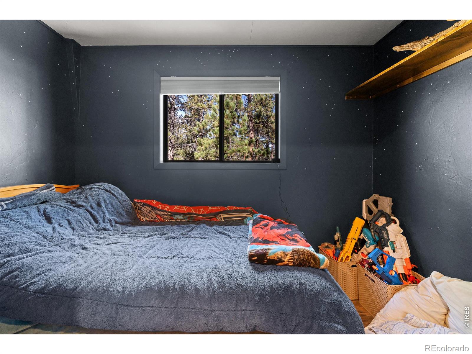 MLS Image #28 for 22  blue jay lane,red feather lakes, Colorado