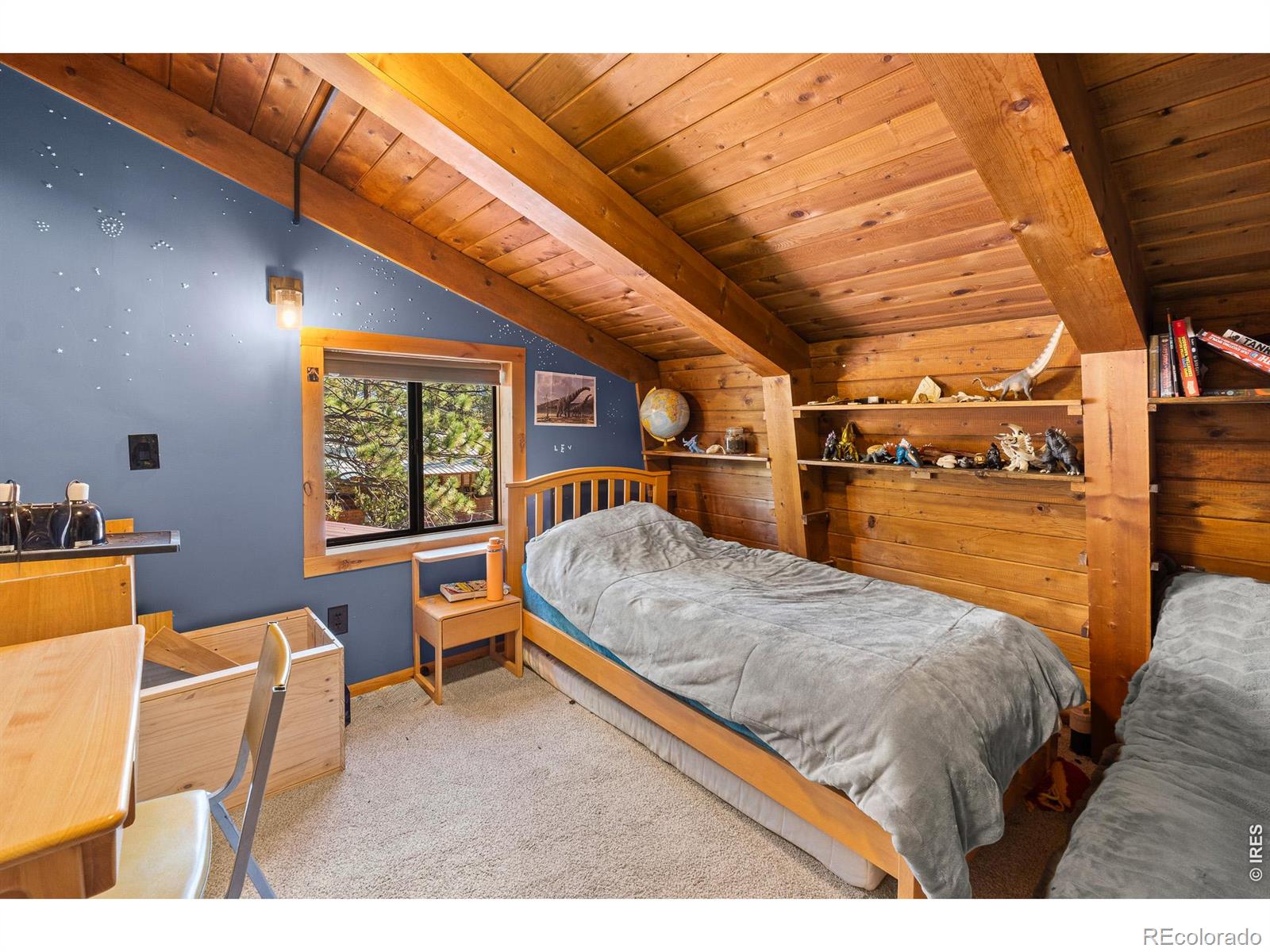 MLS Image #29 for 22  blue jay lane,red feather lakes, Colorado