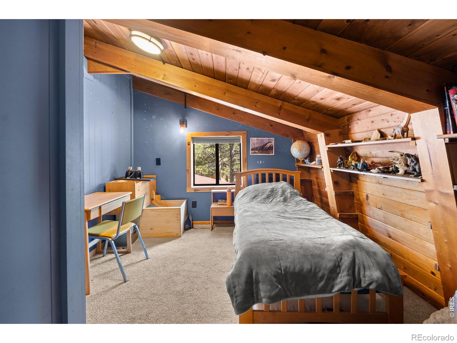 MLS Image #30 for 22  blue jay lane,red feather lakes, Colorado