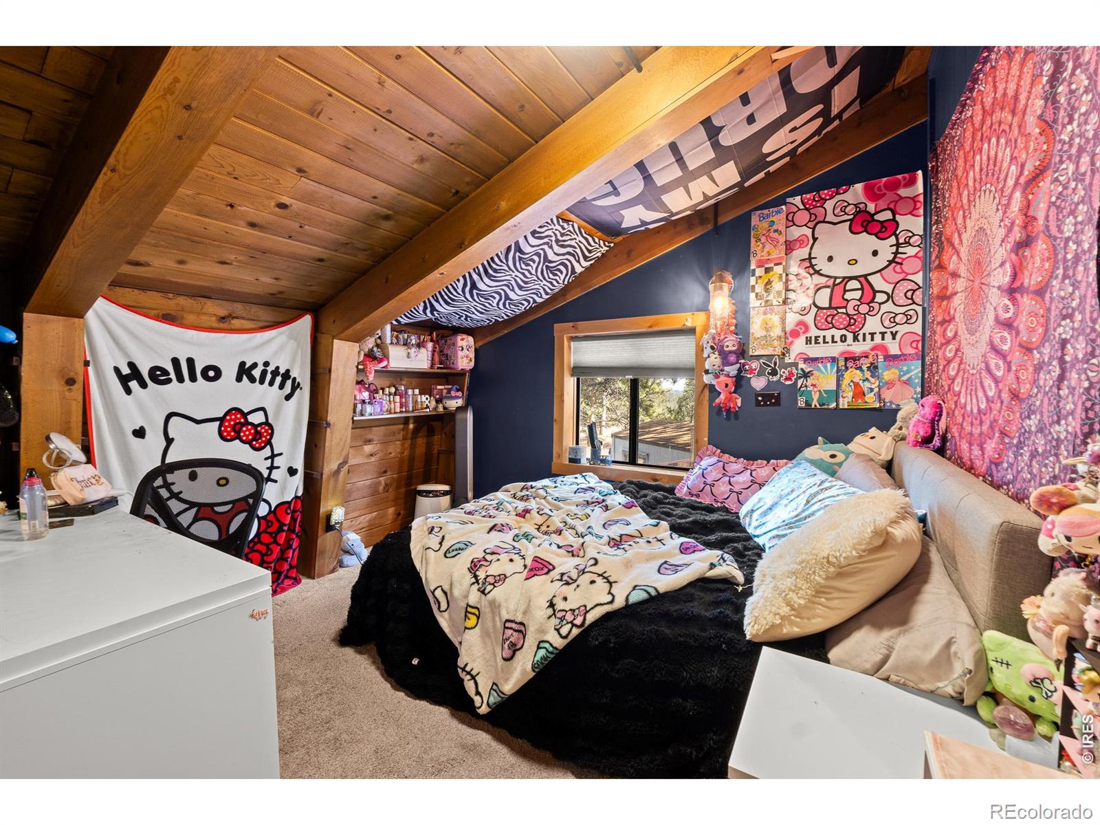 MLS Image #32 for 22  blue jay lane,red feather lakes, Colorado