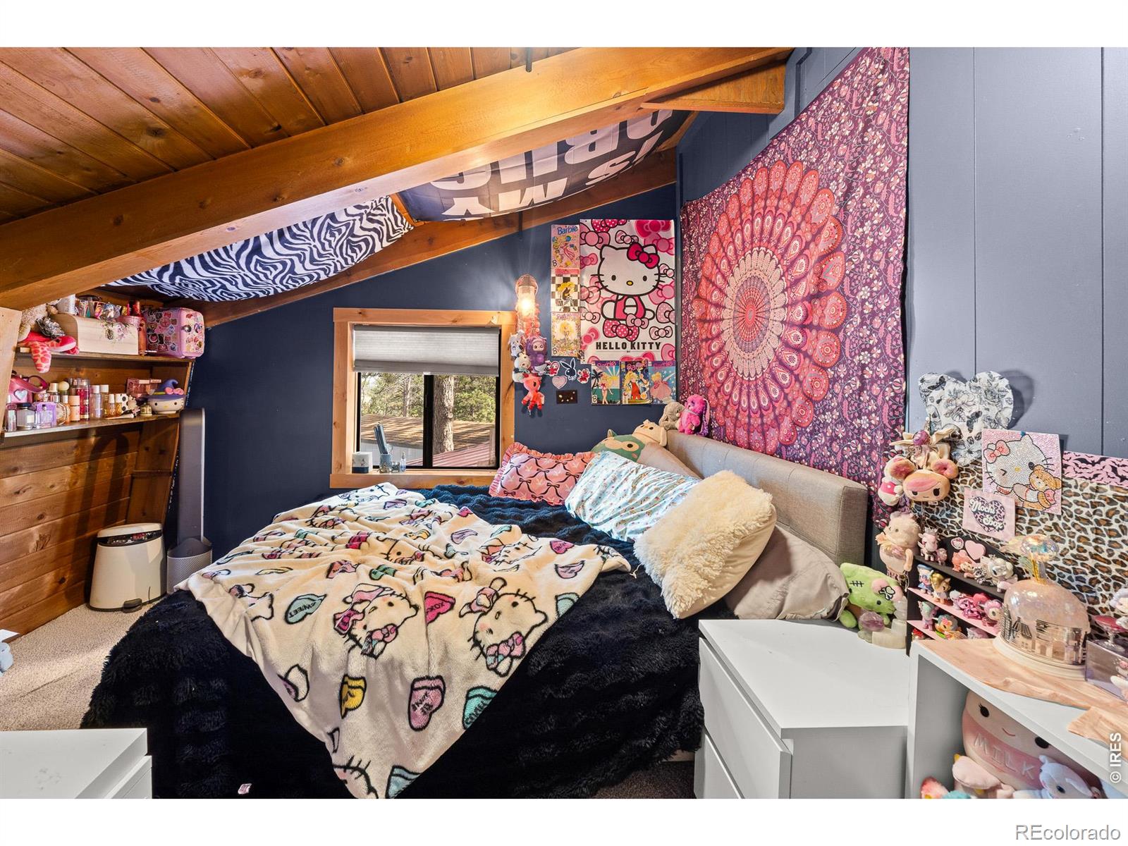 MLS Image #33 for 22  blue jay lane,red feather lakes, Colorado