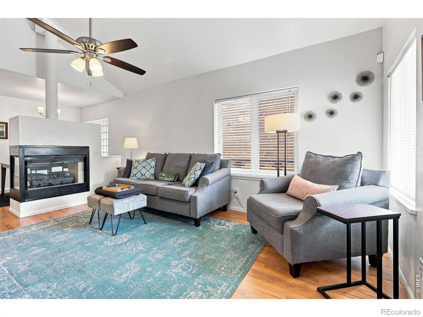 MLS Image #1 for 1028  jackson street,denver, Colorado