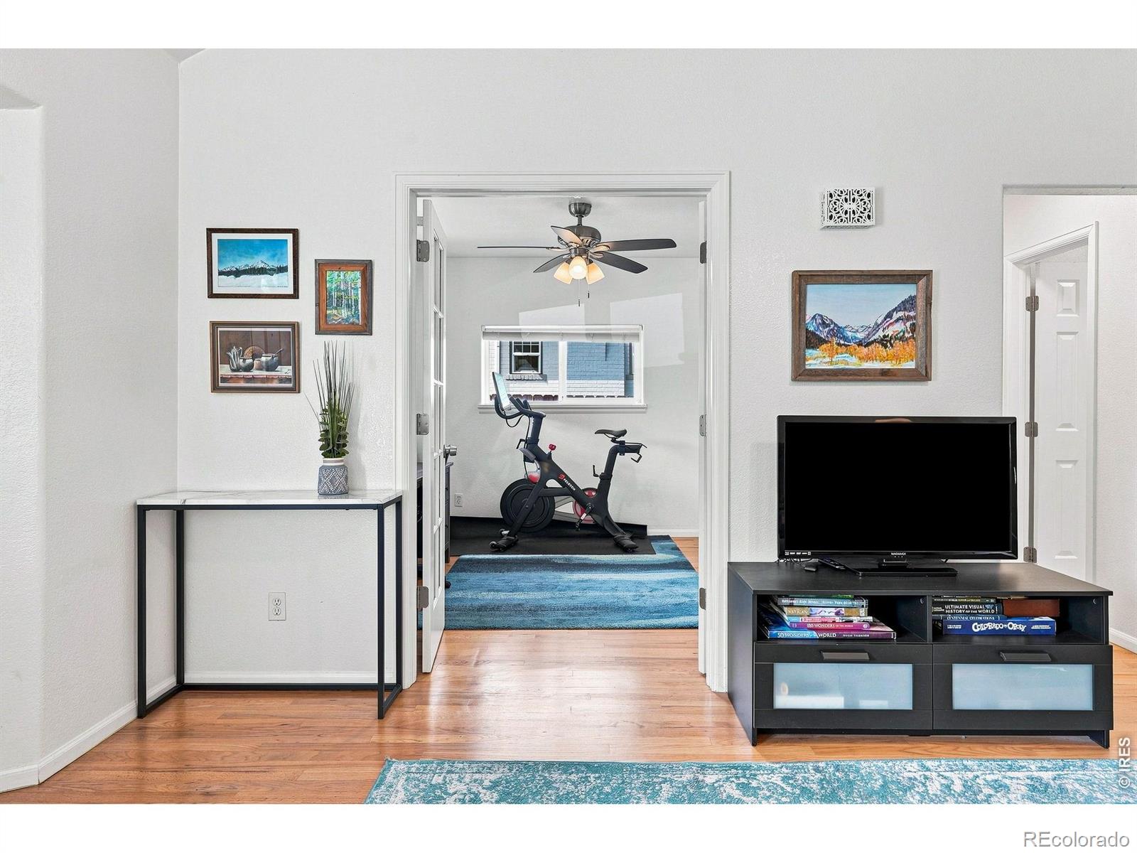 MLS Image #10 for 1028  jackson street,denver, Colorado