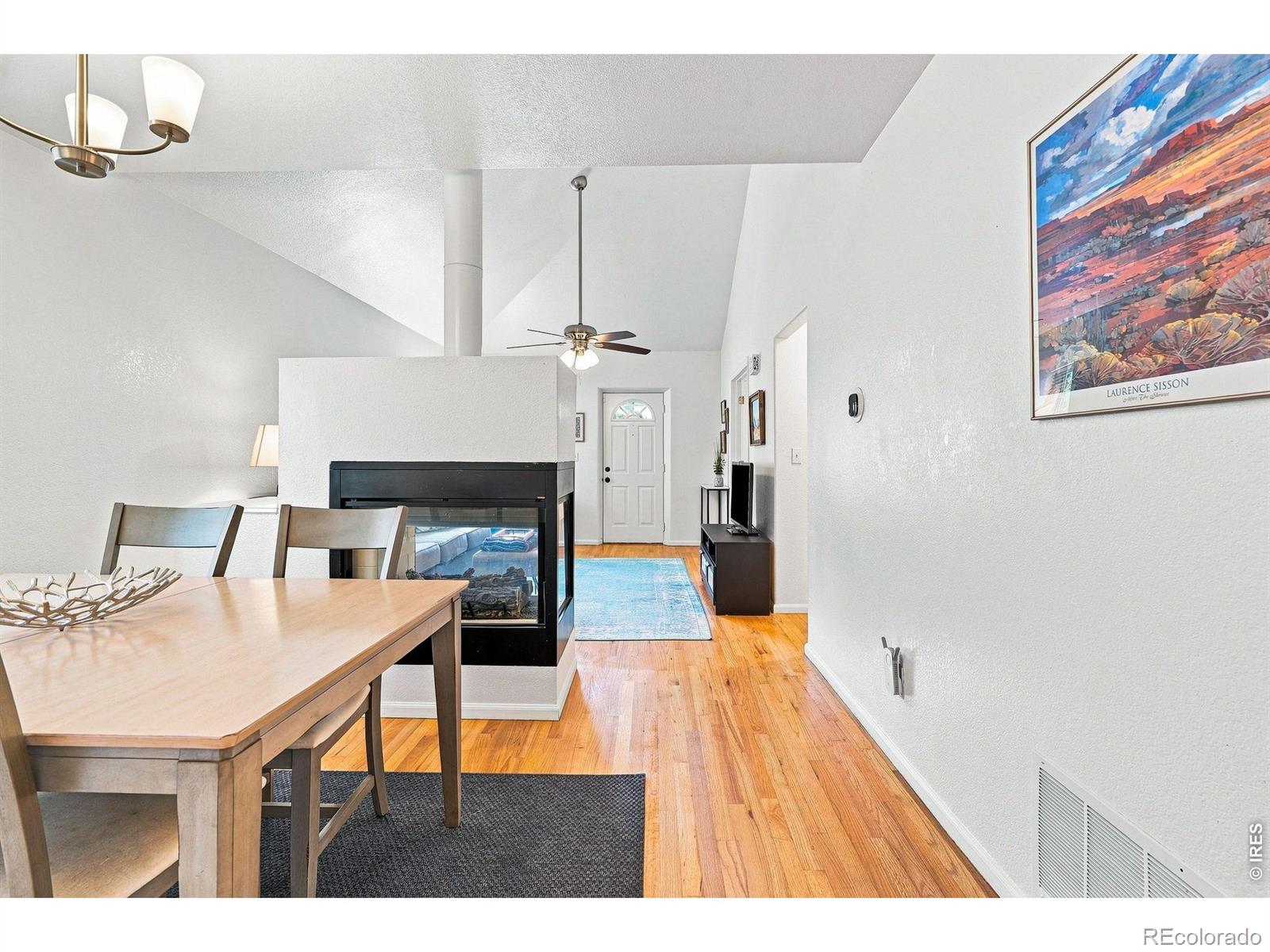MLS Image #15 for 1028  jackson street,denver, Colorado