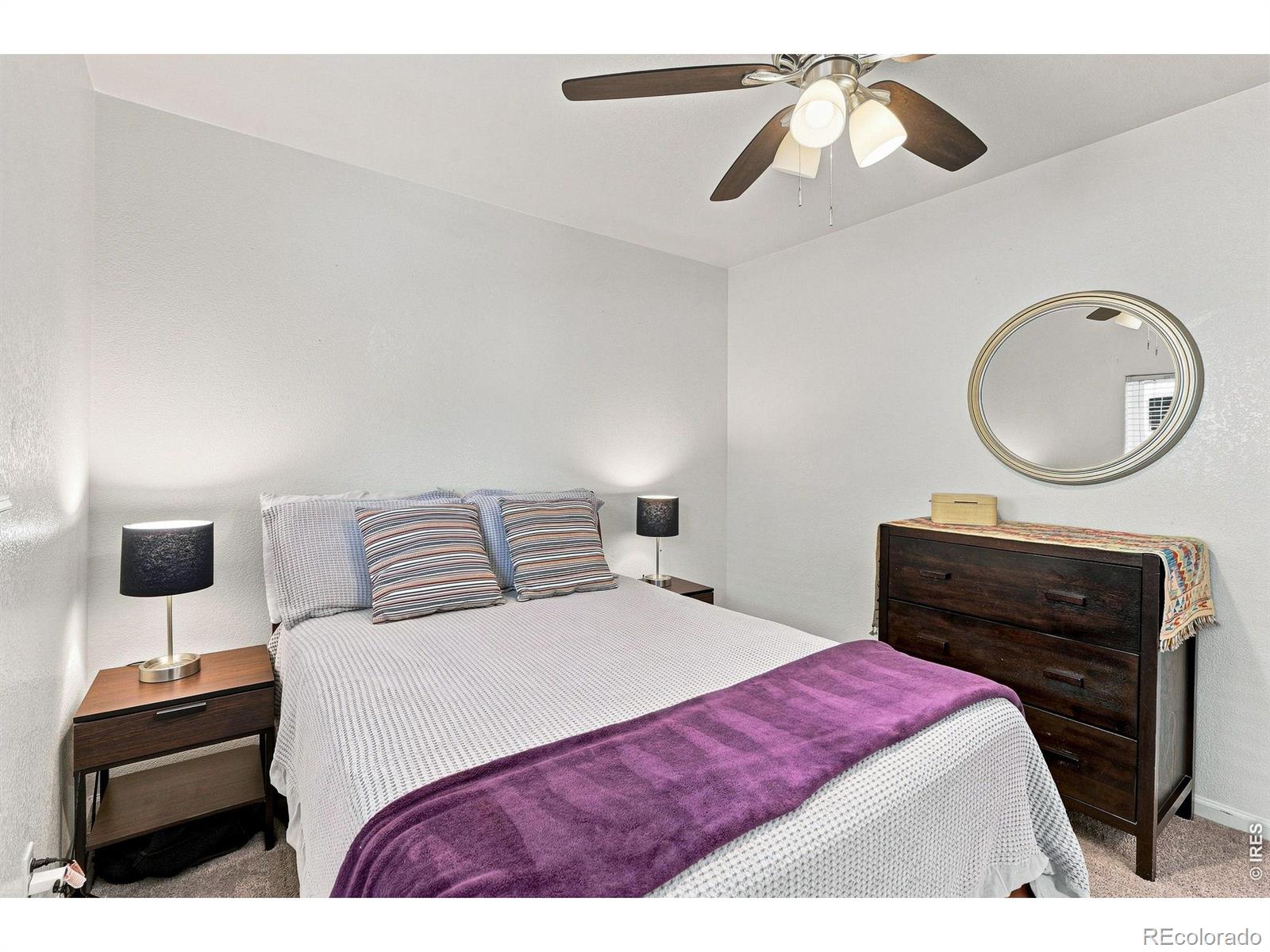 MLS Image #3 for 1028  jackson street,denver, Colorado
