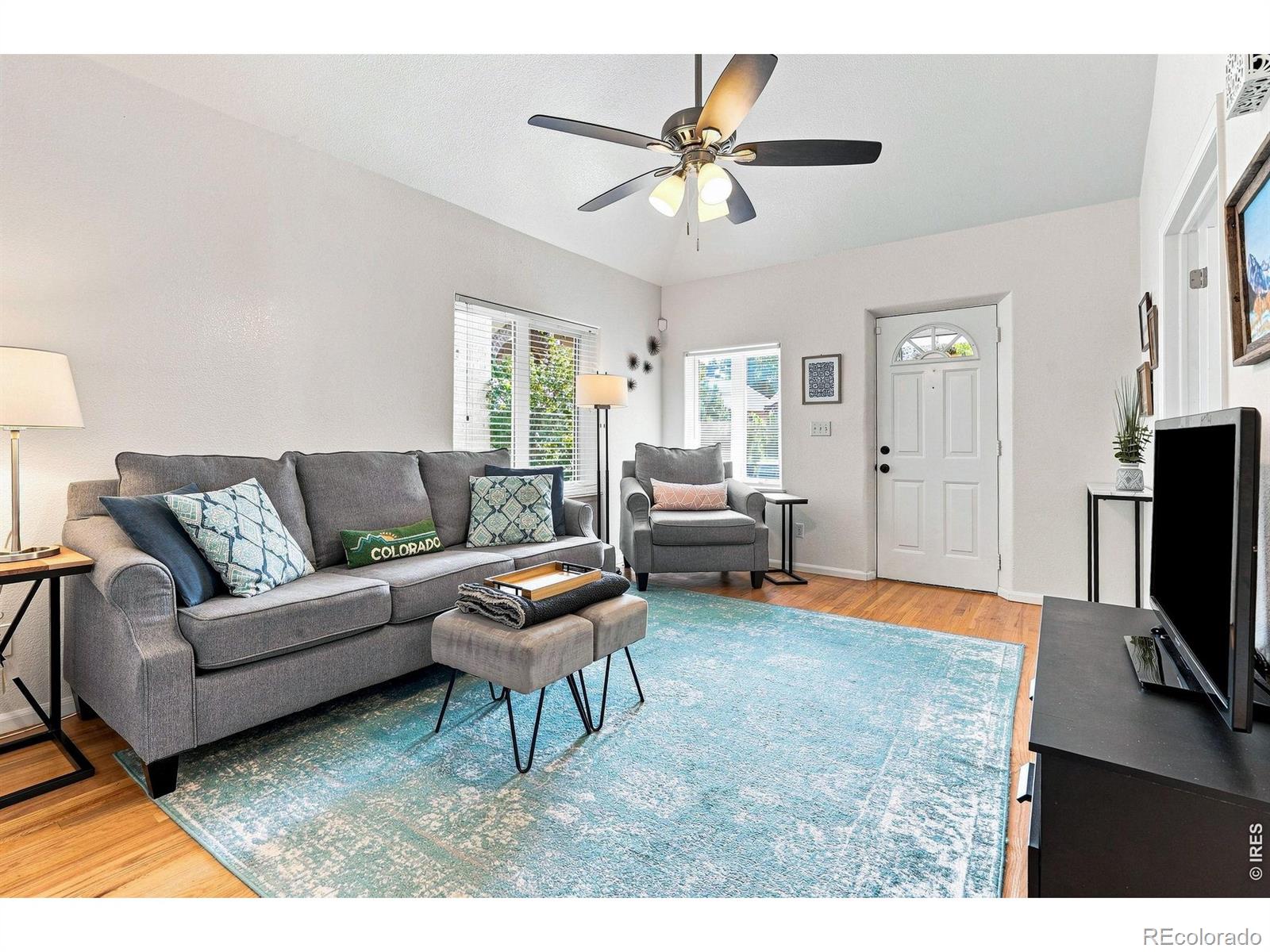 MLS Image #6 for 1028  jackson street,denver, Colorado
