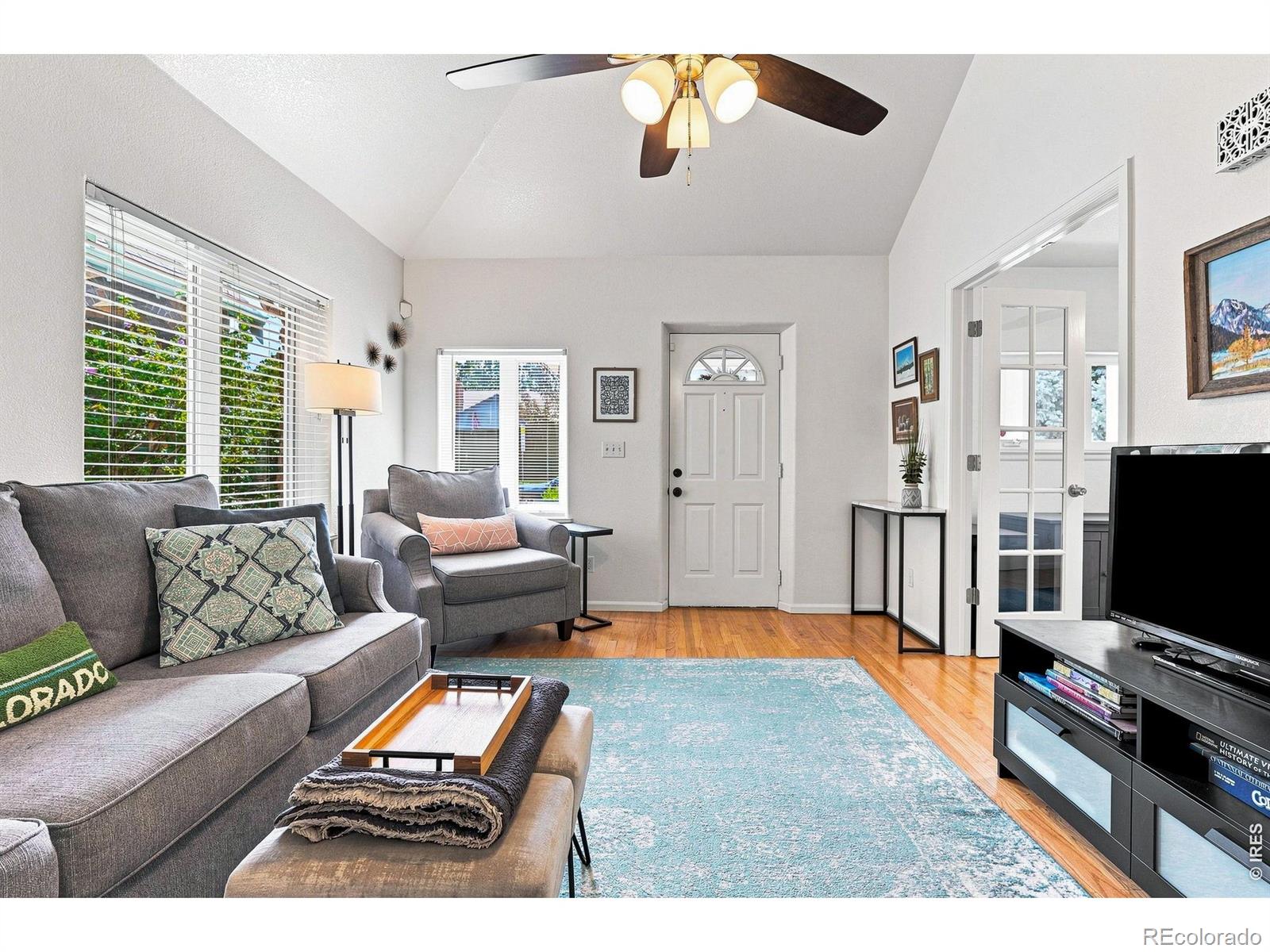 MLS Image #7 for 1028  jackson street,denver, Colorado