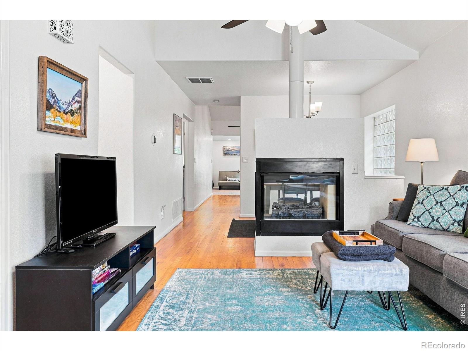 MLS Image #8 for 1028  jackson street,denver, Colorado