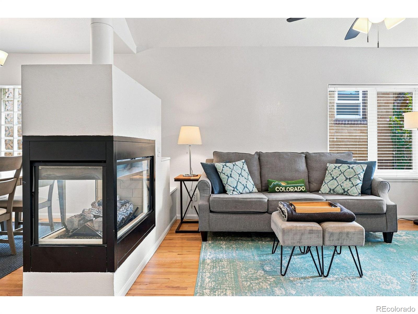MLS Image #9 for 1028  jackson street,denver, Colorado