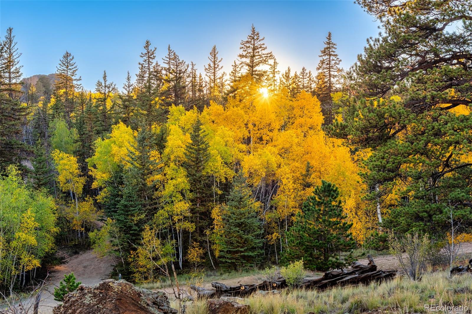 MLS Image #32 for 61  idaho court,como, Colorado