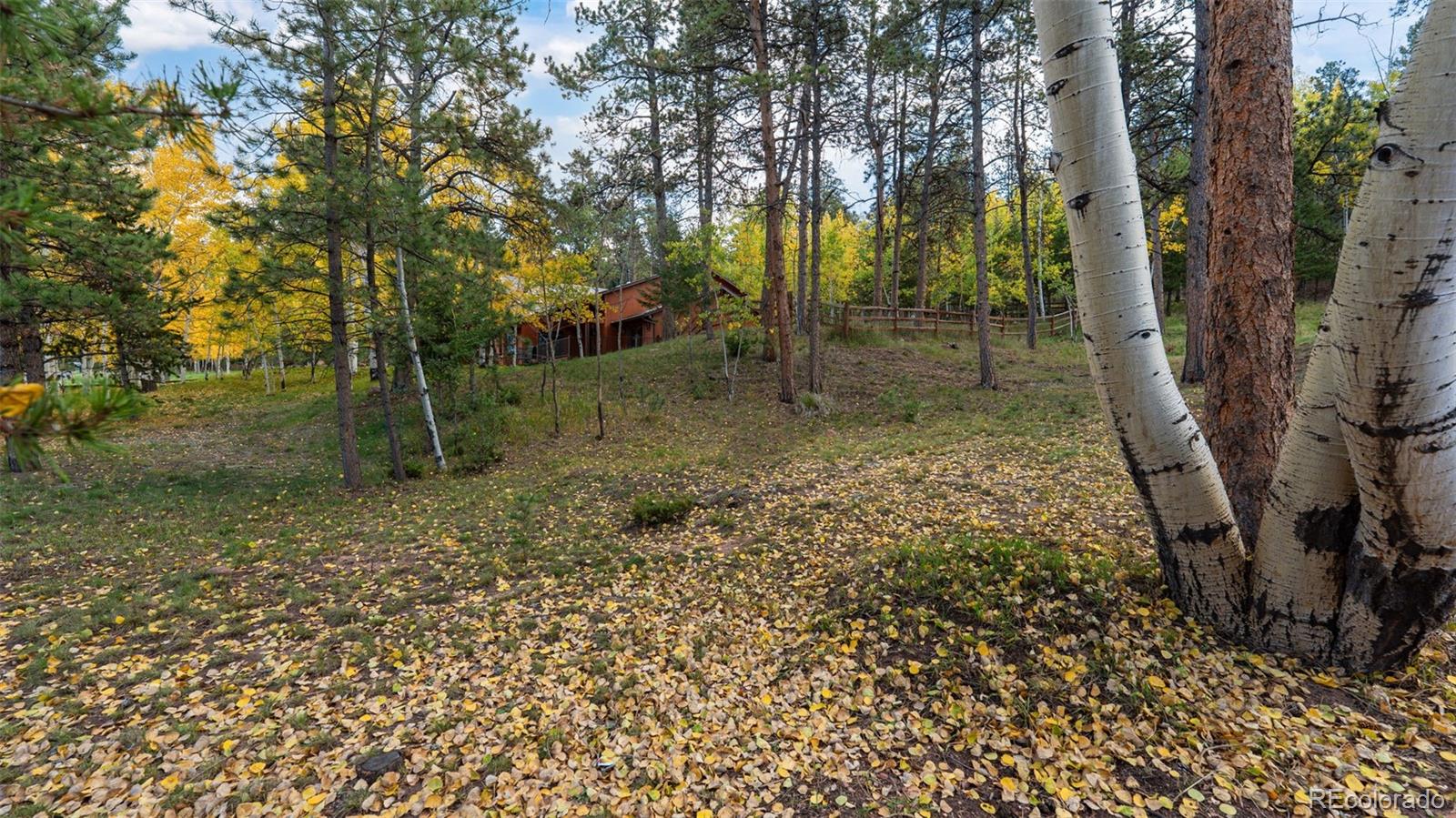 MLS Image #29 for 1001  paradise valley drive,woodland park, Colorado