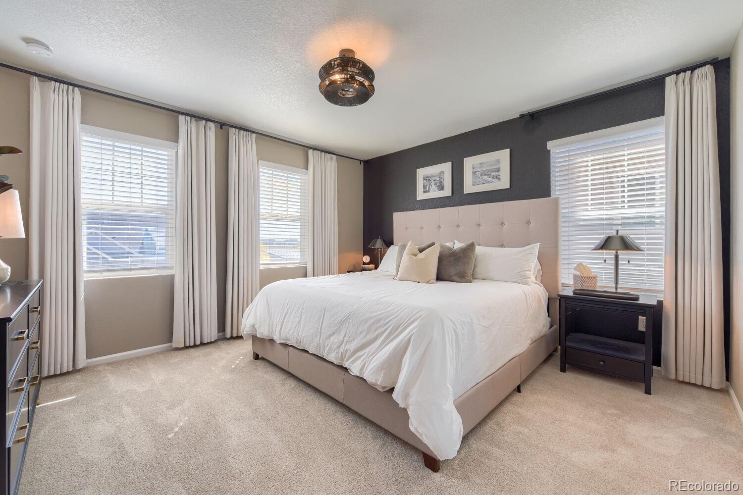 MLS Image #16 for 9099  fraser river street,littleton, Colorado