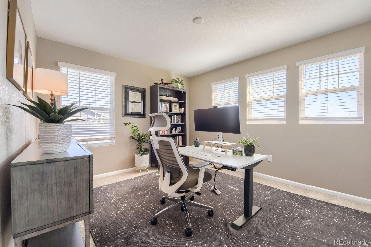 MLS Image #6 for 9099  fraser river street,littleton, Colorado