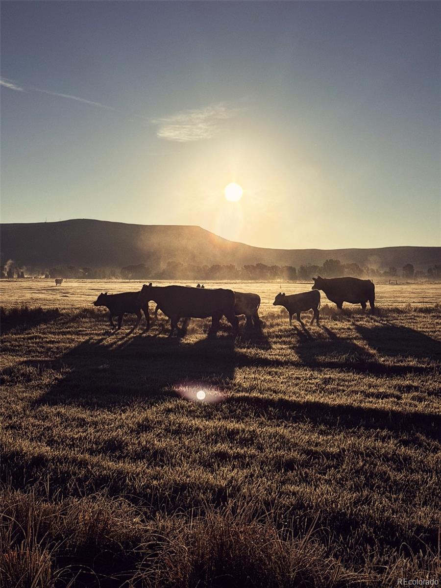 MLS Image #39 for 262  tomichi creek loop,gunnison, Colorado
