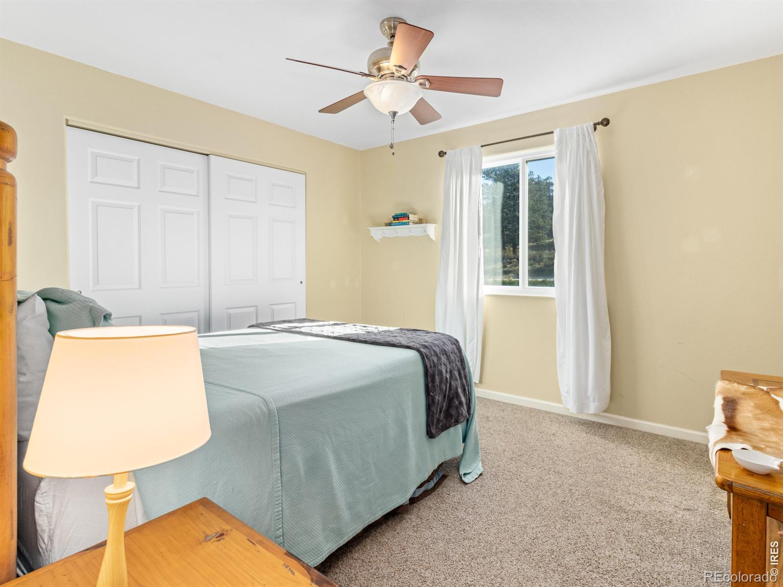 MLS Image #34 for 1601  fish creek road,estes park, Colorado