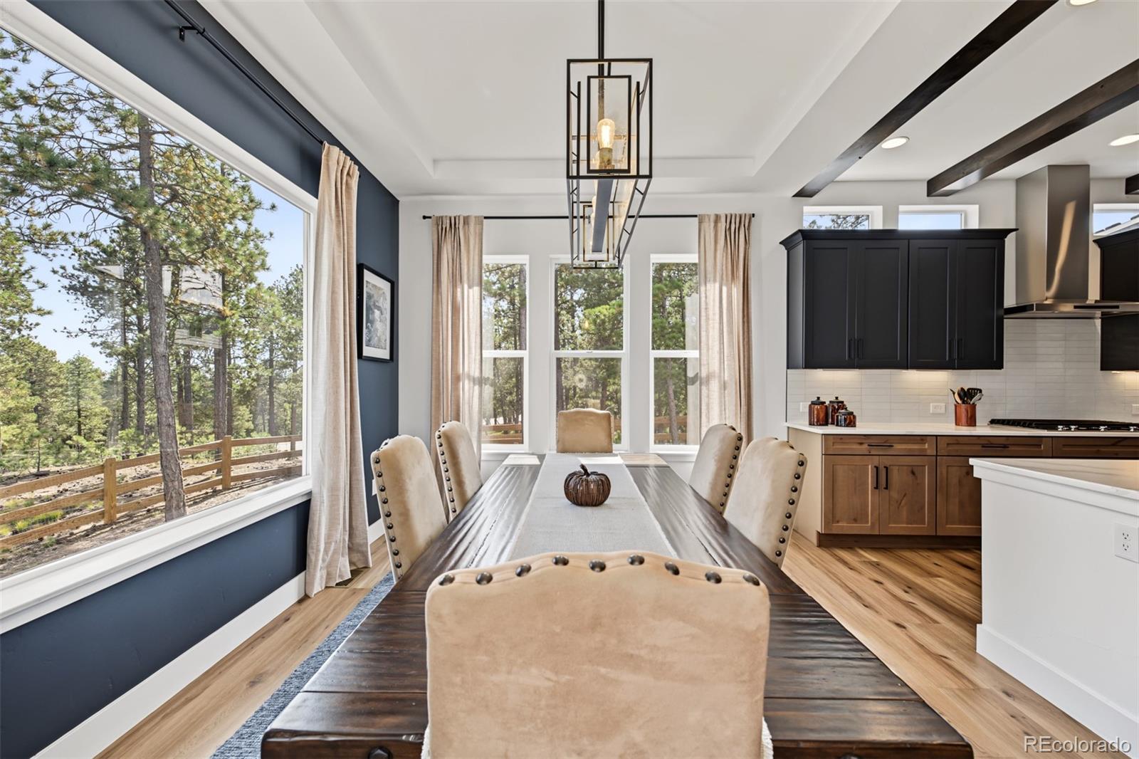 MLS Image #18 for 16349  treetop glory court,monument, Colorado