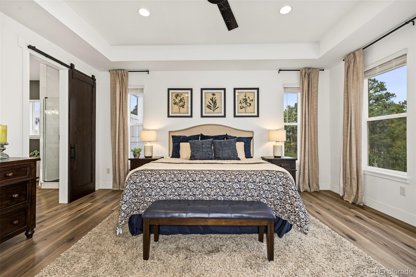 MLS Image #27 for 16349  treetop glory court,monument, Colorado