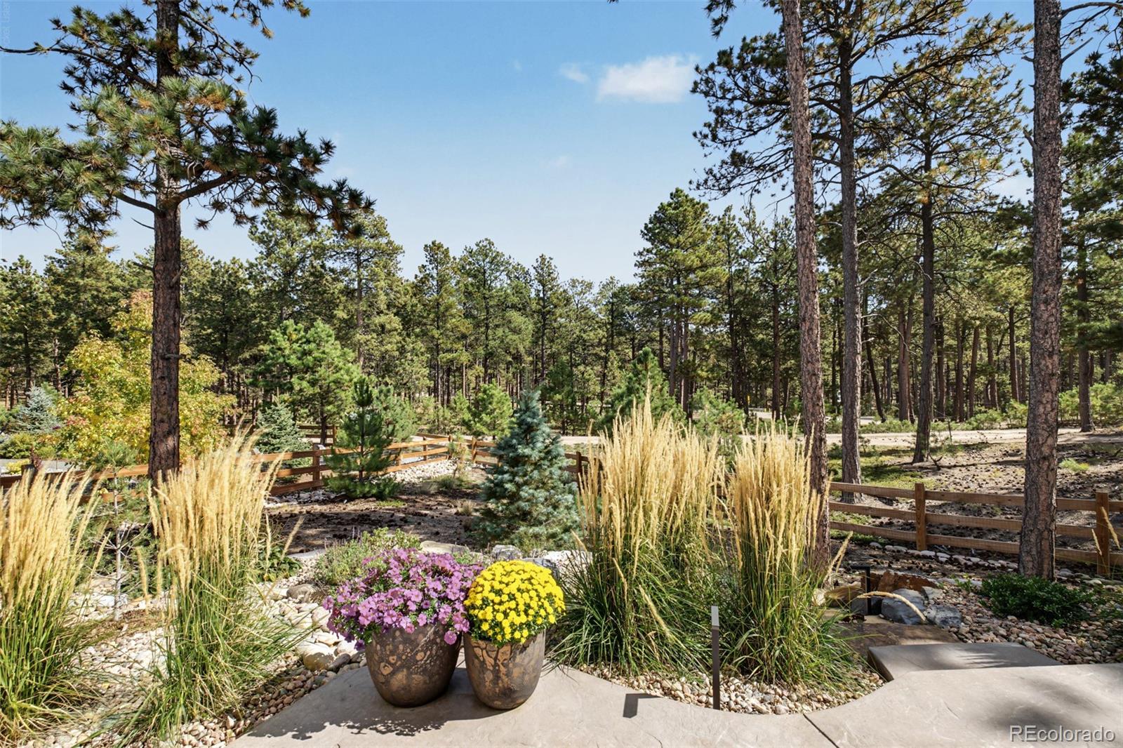 MLS Image #44 for 16349  treetop glory court,monument, Colorado