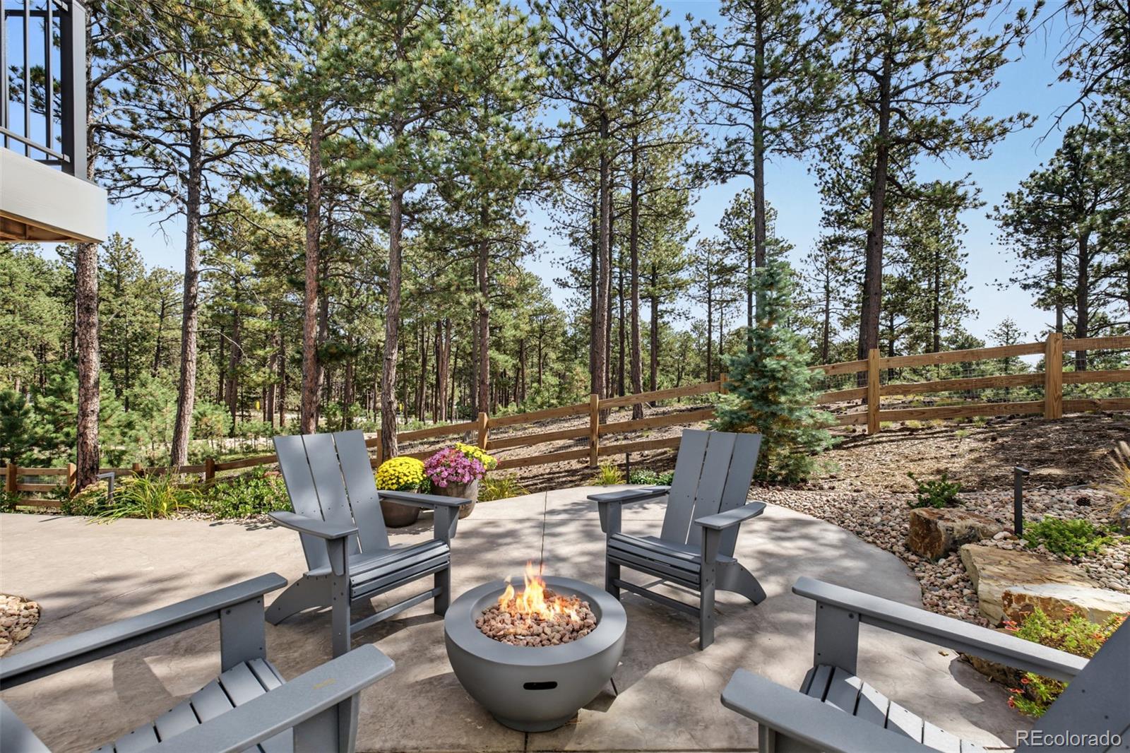 MLS Image #46 for 16349  treetop glory court,monument, Colorado