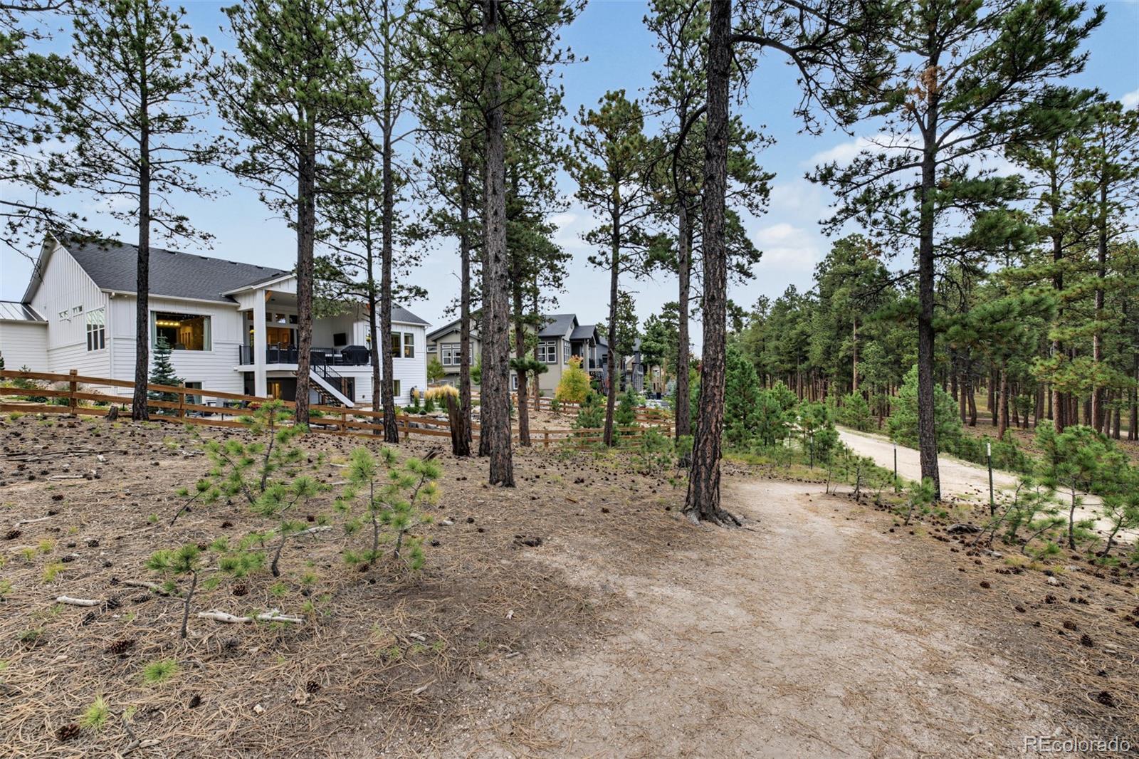 MLS Image #47 for 16349  treetop glory court,monument, Colorado
