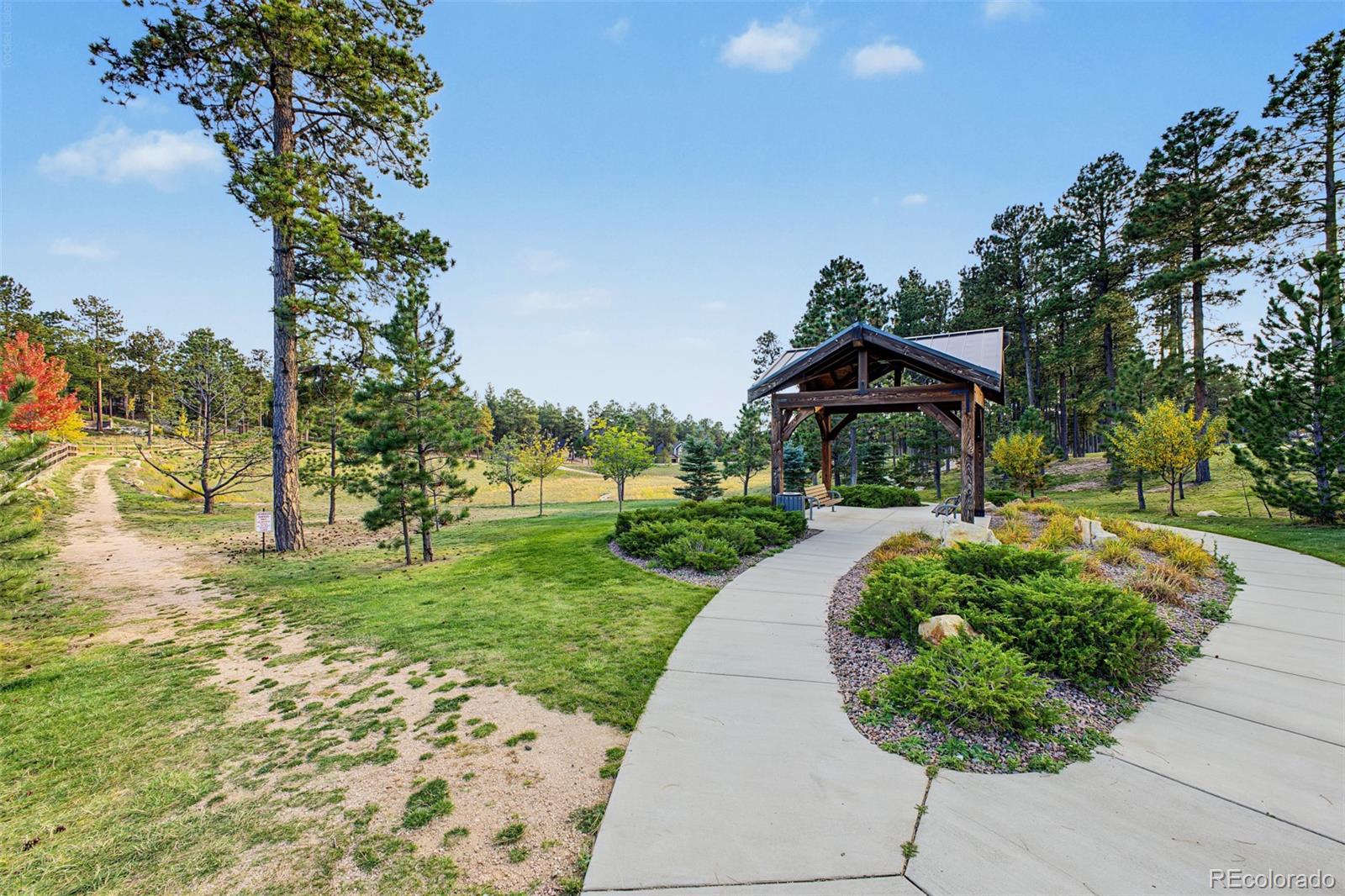 MLS Image #49 for 16349  treetop glory court,monument, Colorado