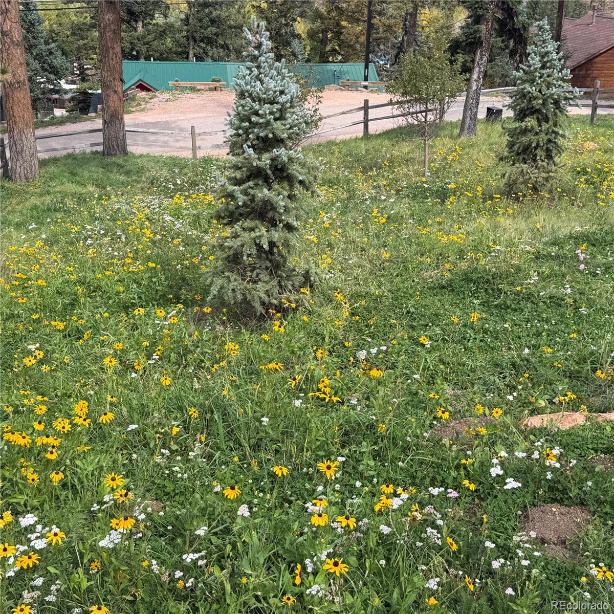 MLS Image #33 for 10580  illinois avenue,green mountain falls, Colorado