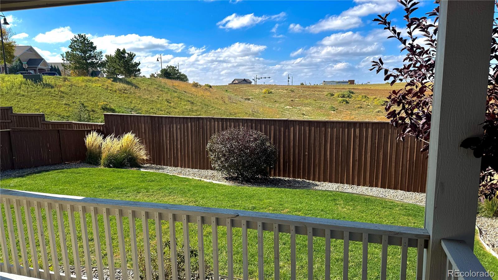 MLS Image #18 for 15920  alberta drive,parker, Colorado