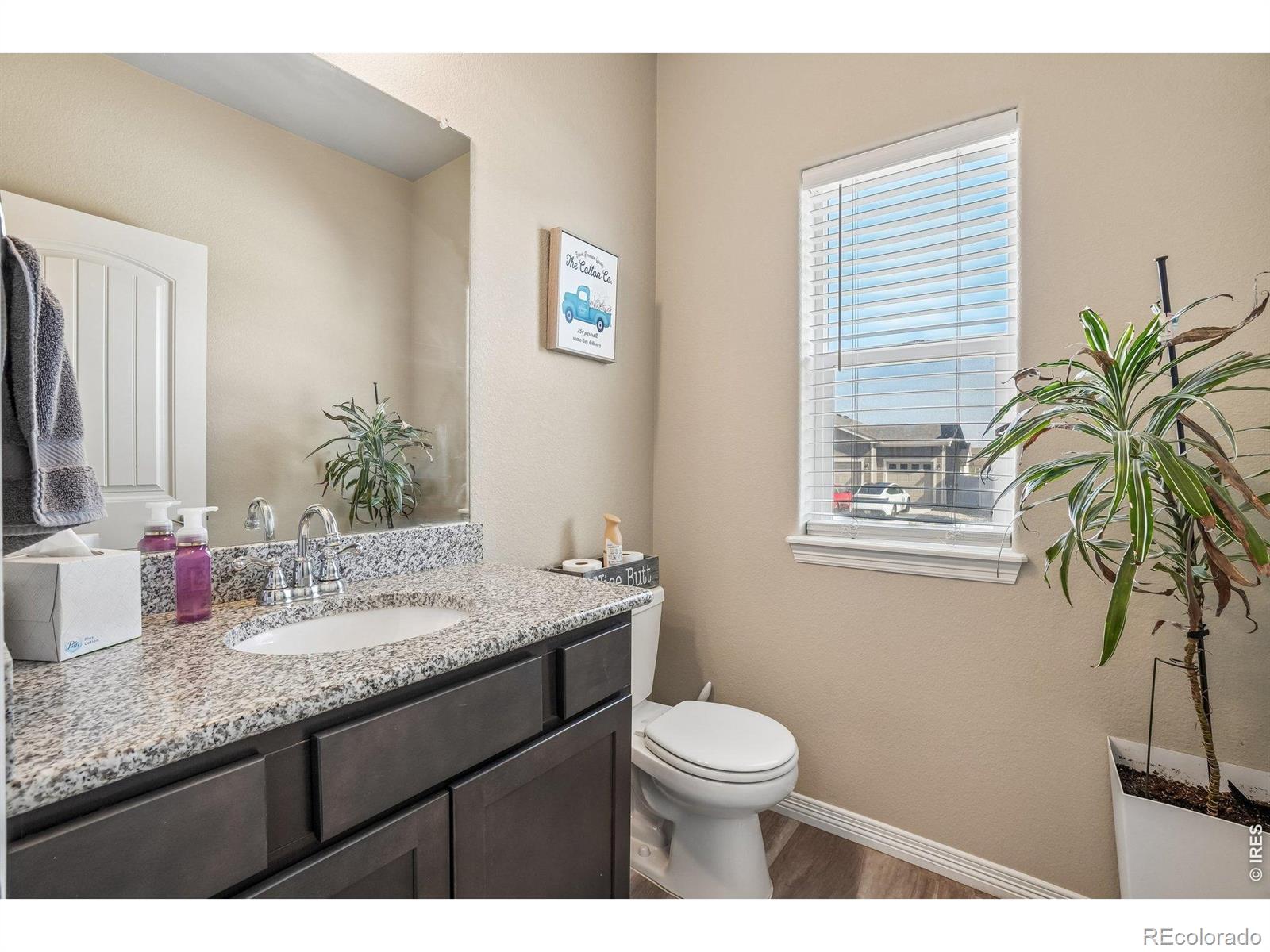 MLS Image #10 for 4988  priors drive,windsor, Colorado