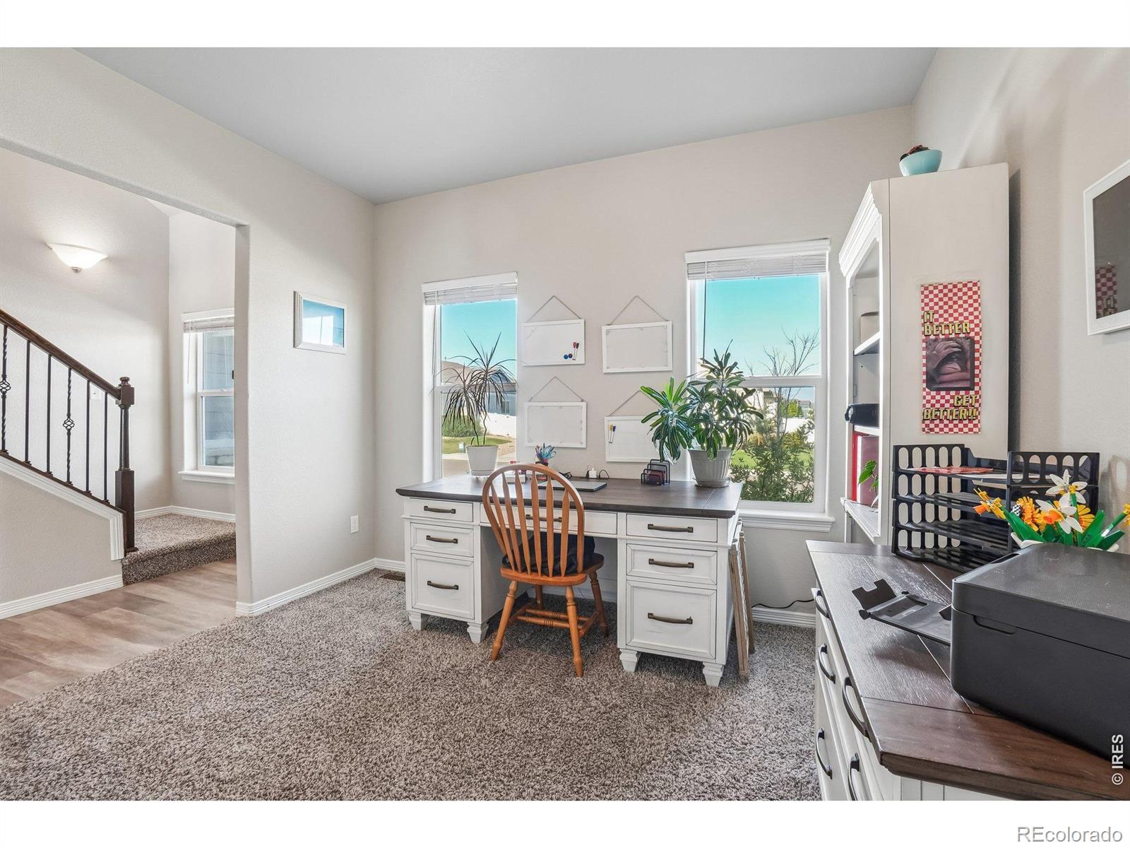 MLS Image #12 for 4988  priors drive,windsor, Colorado