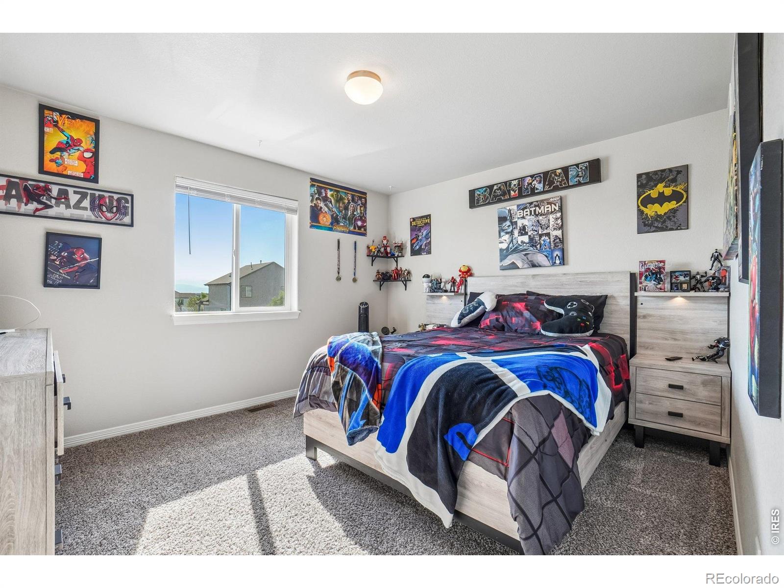 MLS Image #19 for 4988  priors drive,windsor, Colorado