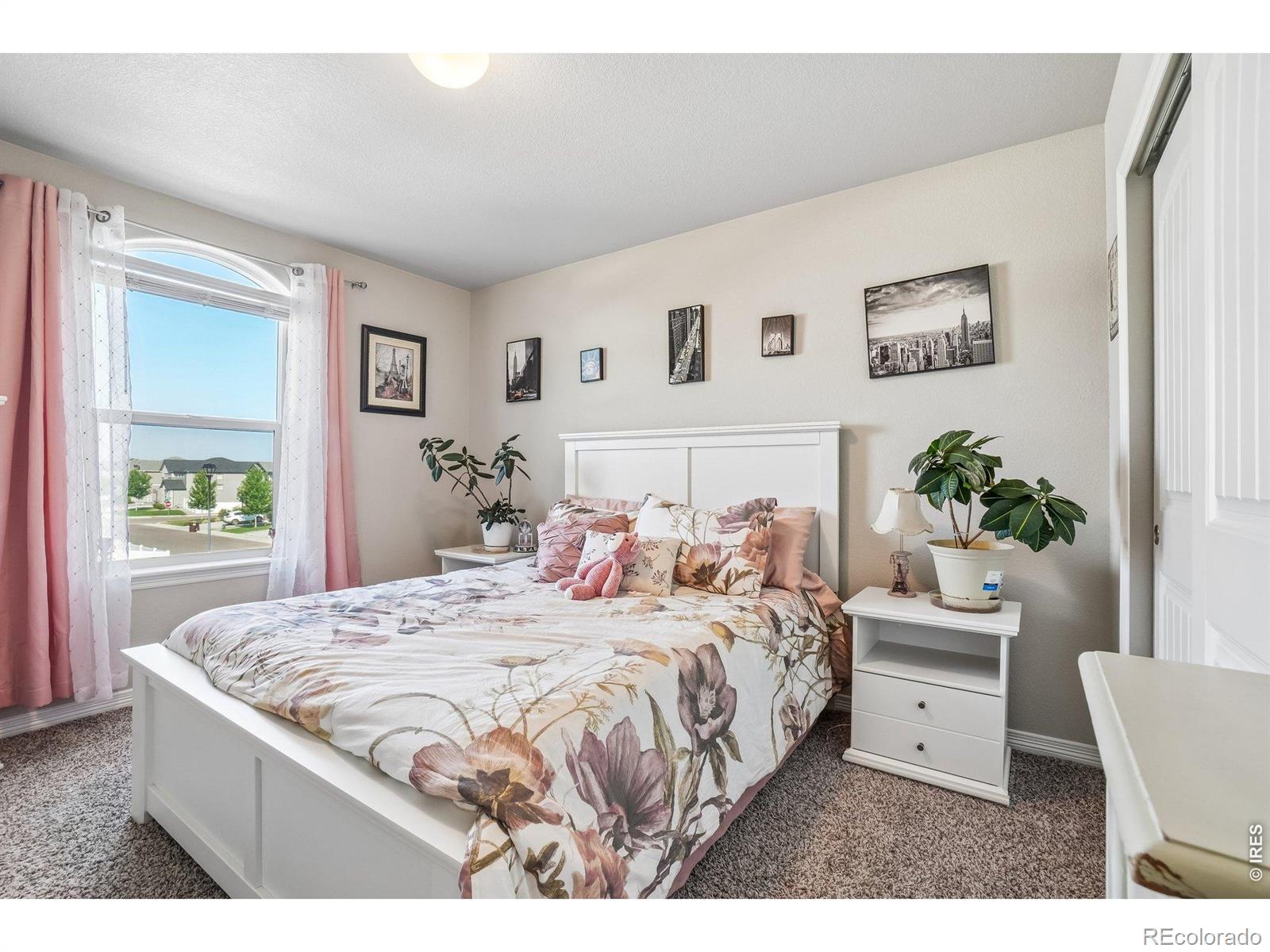 MLS Image #20 for 4988  priors drive,windsor, Colorado