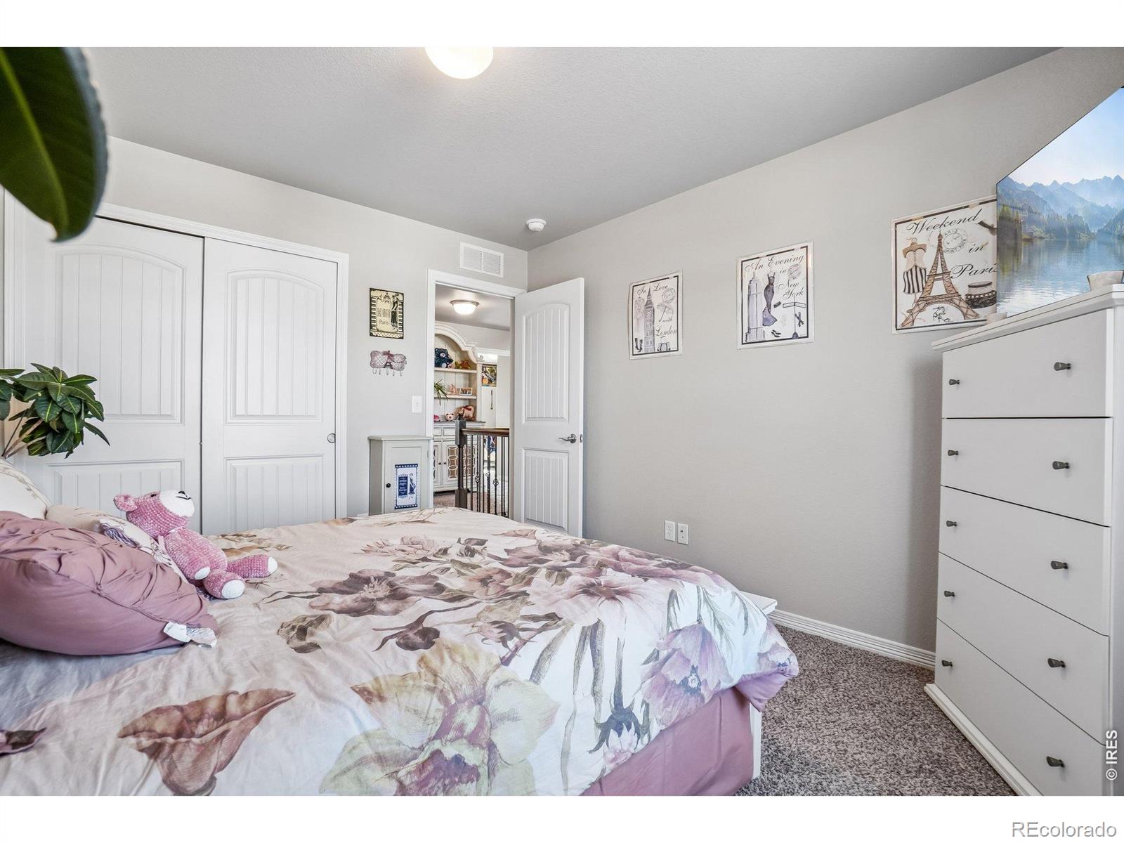 MLS Image #21 for 4988  priors drive,windsor, Colorado