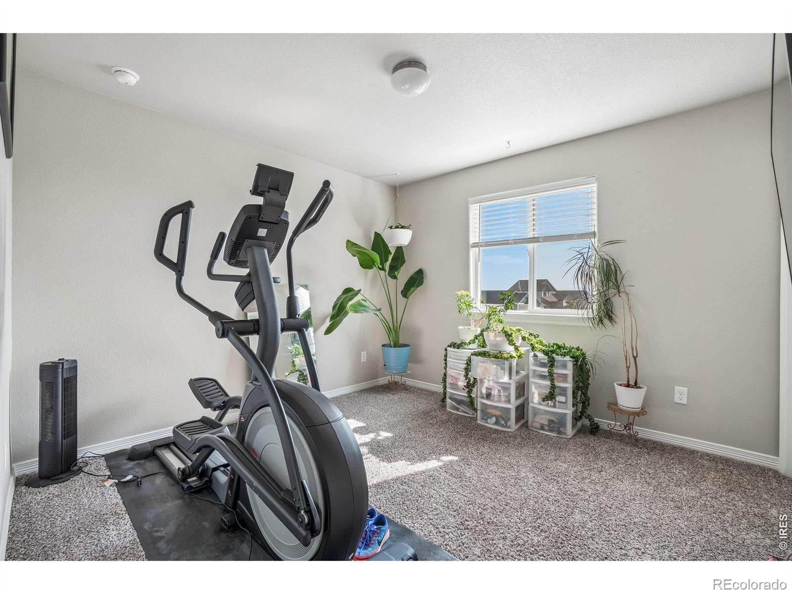 MLS Image #24 for 4988  priors drive,windsor, Colorado