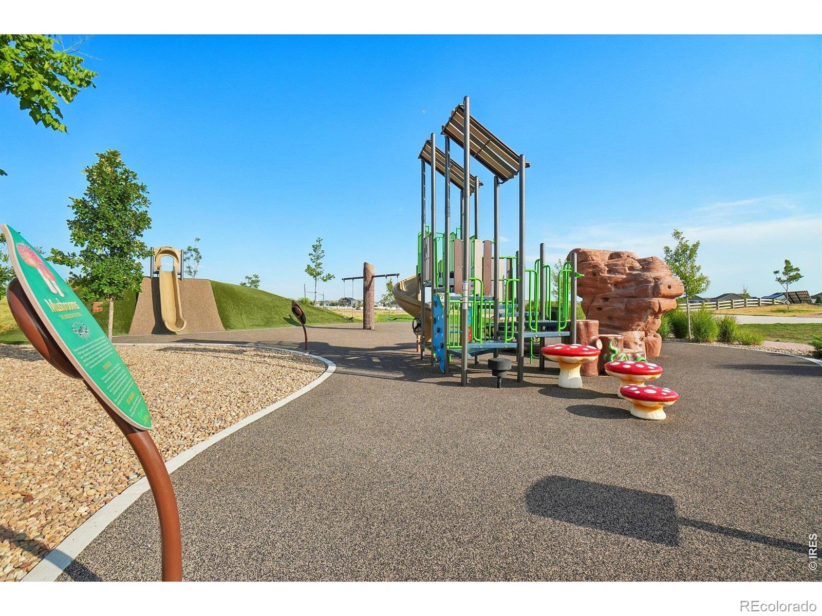 MLS Image #34 for 4988  priors drive,windsor, Colorado